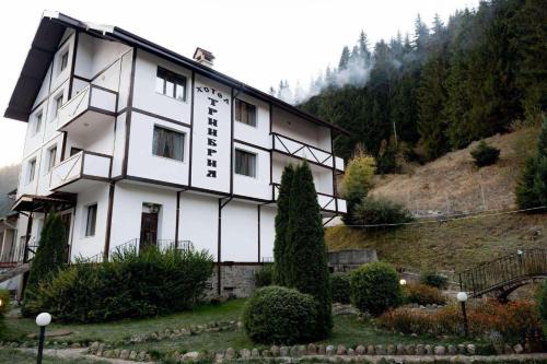 TRIIBRIA Guest house