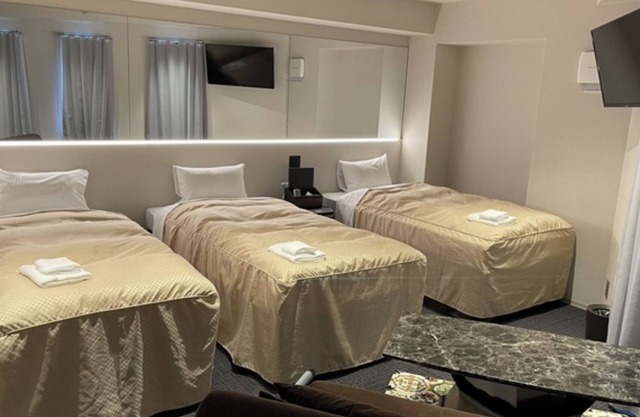 Triple room standard without meals plan / Nara Nara