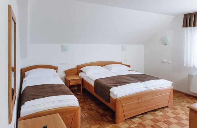 Triple Room with Balcony 4