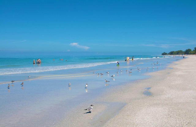 Tropic Isle at Anna Maria Island Inn
