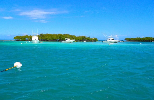 Tropical Beach House - Combate, Cabo Rojo PR