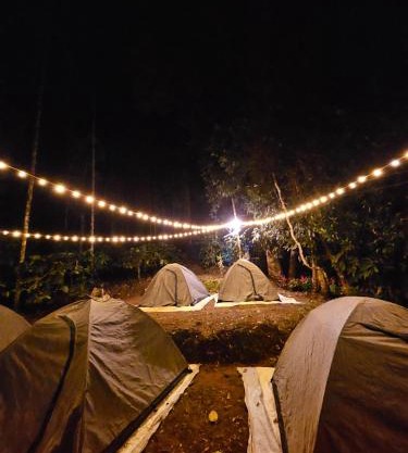 Tropical camping