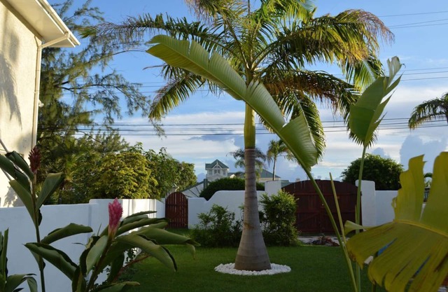 Tropical Gecko Studio - ¡A solo 80 metros del océano!