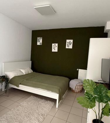 Tropical Room Modern Cozy