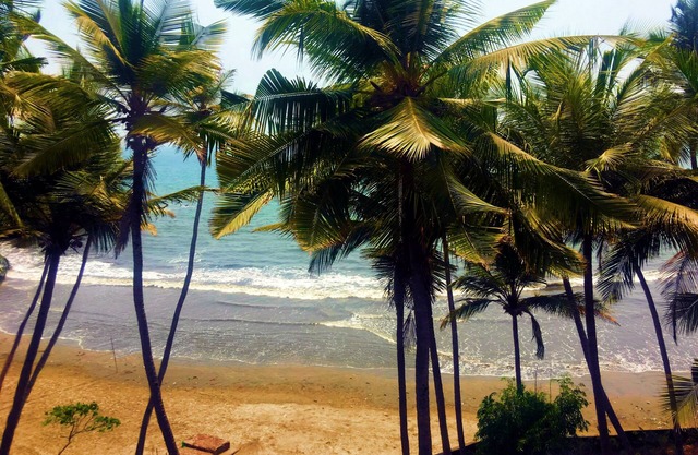 VIBES TROPICALES 5BHK Luxury Beach House