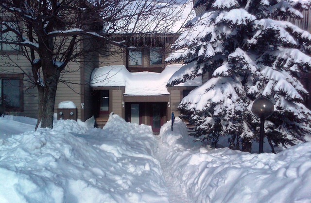 Ubicación privilegiada y serenidad en 7 Springs Resort - The Winter Sonata