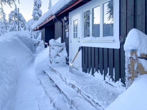 Trysilfjellet Nord 1071B