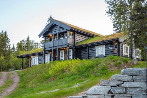 Trysilfjellet Nord 901
