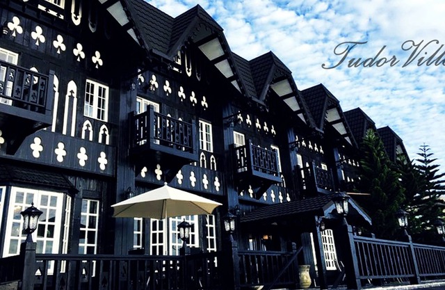 Tudor Dynasty