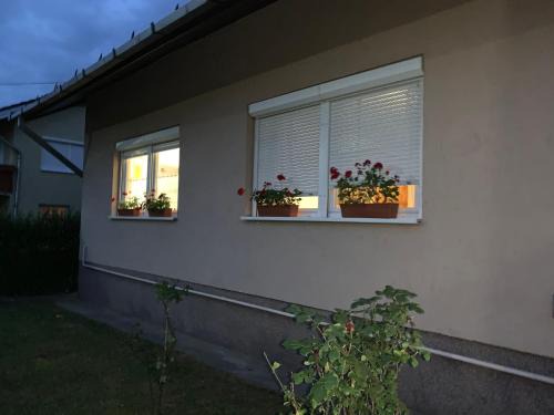 Tulman Apartment