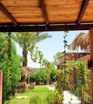 Tunis Camp
