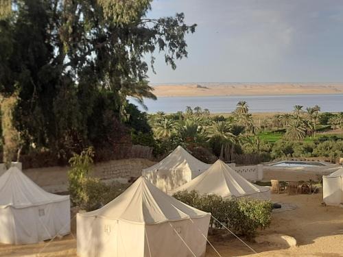 Tunis Camp Fayoum