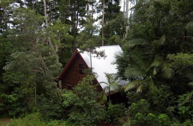 Nido de pavo - Rose Gum Cottage