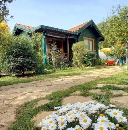 Turkuaz Bungalows