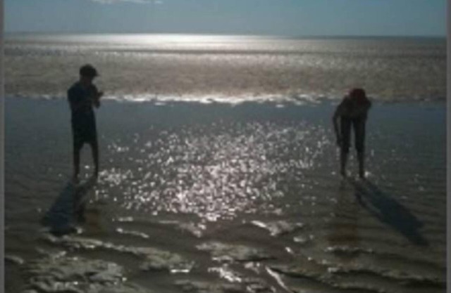 Turner River Lodge (gheko) - Stay, relajarse, disfrutar