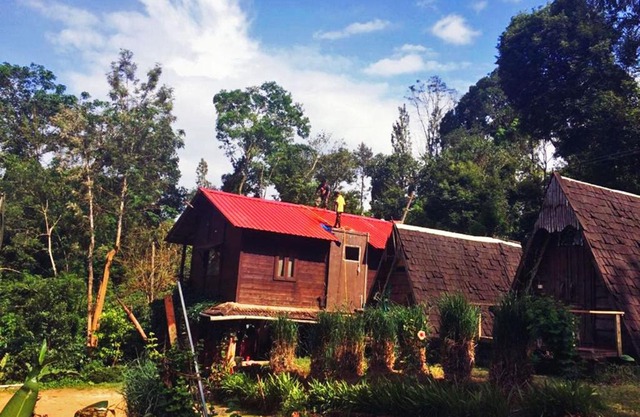 Turtle Pond Home Stay
