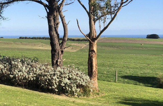Twelve Apostles Ocean View