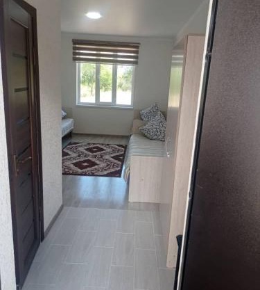 Twin house
