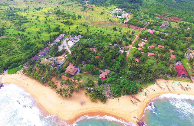 Twitter Paradise Guest House