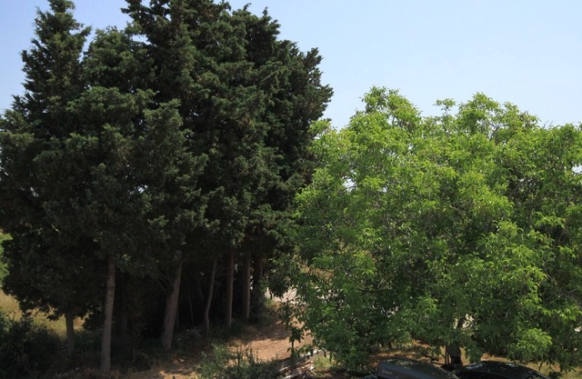 Two bedroom apartment with terrace Susica, Ugljan (A-8265-a)