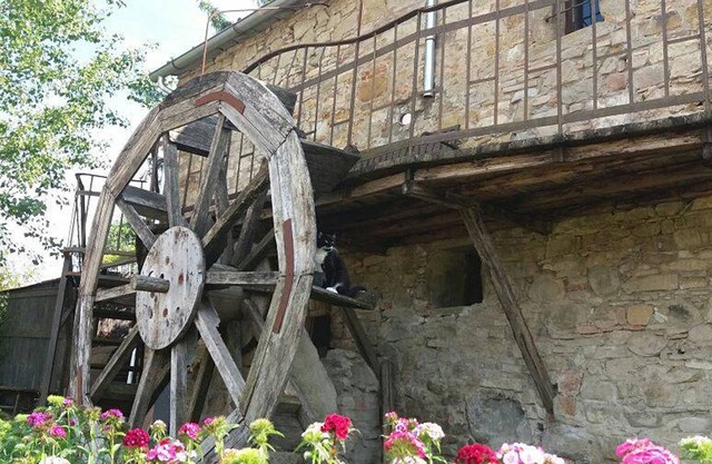 típica casa de campo en la Toscana "Il Molino"