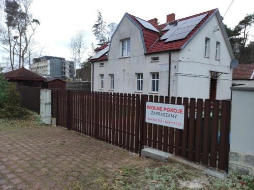 u Oli Dawid Spaczyński