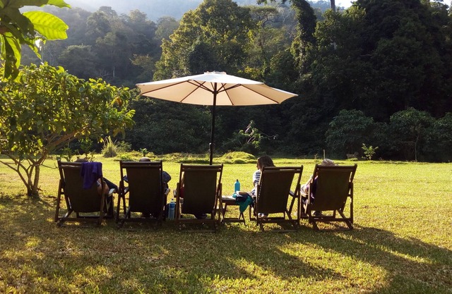 Udzungwa Forest Camp