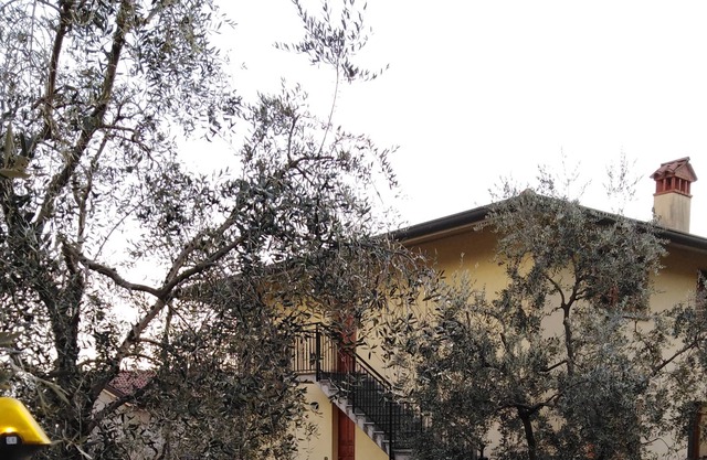 Apartamento ULIVI - Riva Di Solto - Lago Iseo, Bergamo