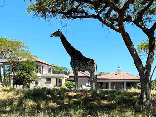 Ultra luxury in the Wild