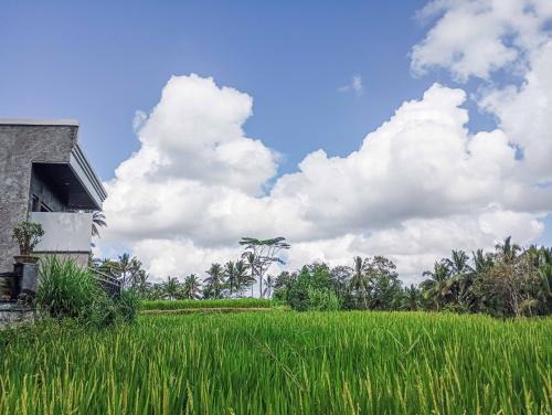 Umah Geina Ubud