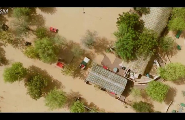 Umaid Desert Camp, Raisar