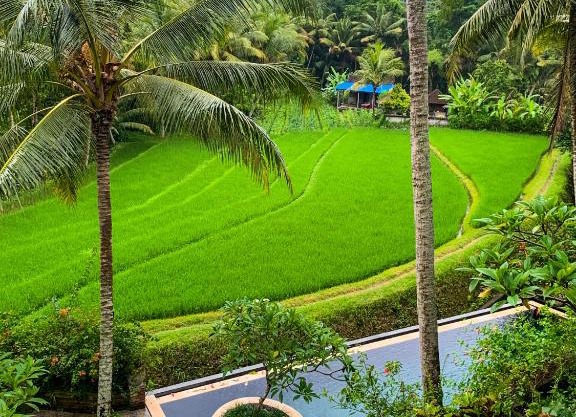 Umasari Rice Terrace Villa by AGATA