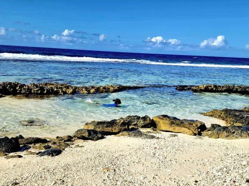 Un écrin de paix au soleil et proche de la mer