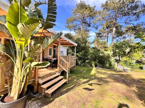 Un toit sur le bassin bungalow