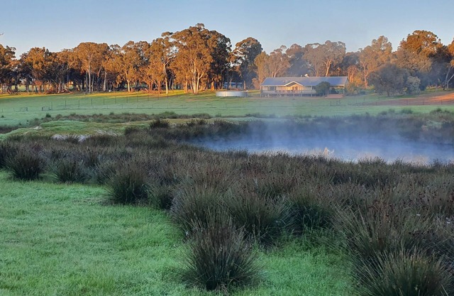 Unique family-friendly farmstay experience less than hour from Perth!