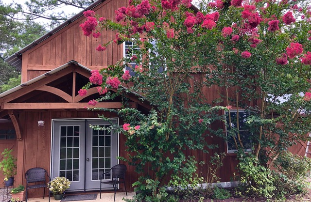 ¡Una casa de huéspedes única excava en la granja cerca de Chattanooga, TN y cabras!