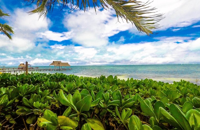 Beautiful Suite Chill beach front condo Punta Me
