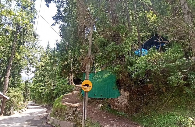 Unleash Adventure in Himachal: Your Ultimate Escape Awaits!
