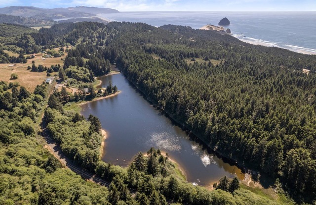 Unmatched Multi-Home Estate on Private Lake w/ Sandy Beaches, Hot Tubs, Fire-Pit, 1 Mile to Beach