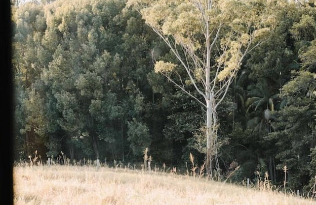 Unplug and unwind in nature. Tiny Home.