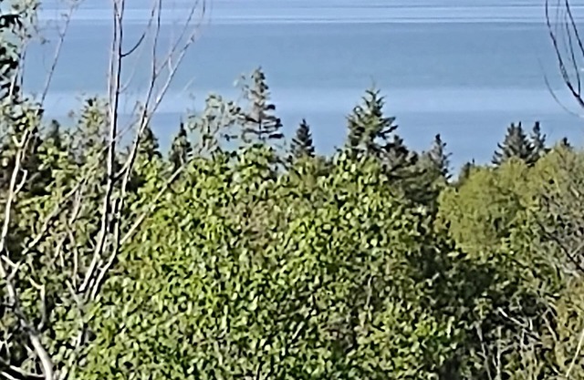 UP Mackinac Straits View Charming corporate apartment with WiFi by Saint Ignace.