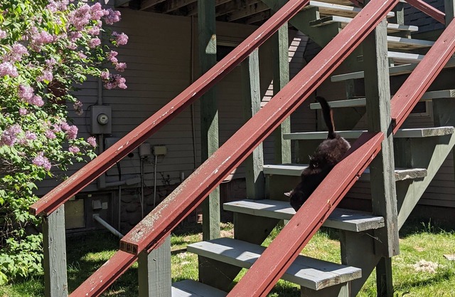 Upper level rental with balcony