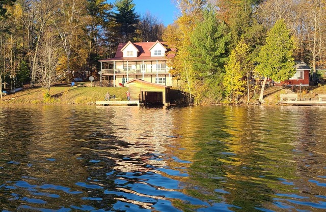 Upper Pine-insula cabin, bring your pet, come enjoy the lake, and relax!