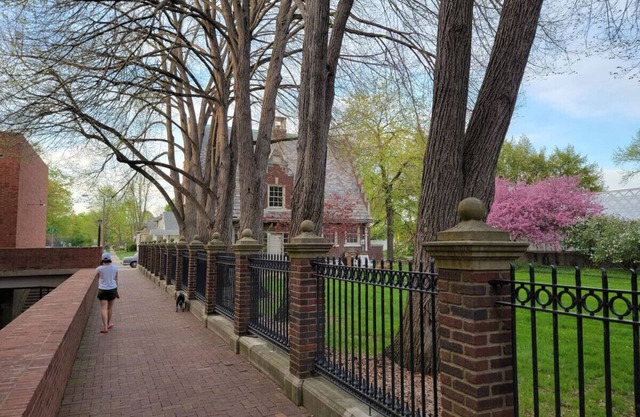 Upscale Downtown Studio w/ Private Deck, Full Kitchen, No Stairs