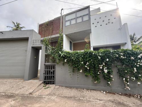 Urban Vines