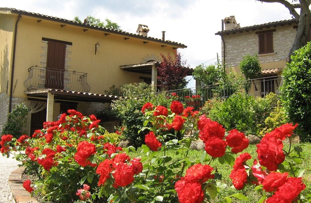 URBINO Y SUS VALLES