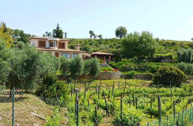 UVA E STELLE villa ad uso esclusivo in collina