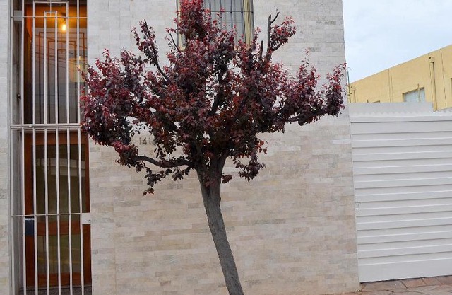 Vía Lavalle Suites 1