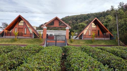 Vaango Cottages