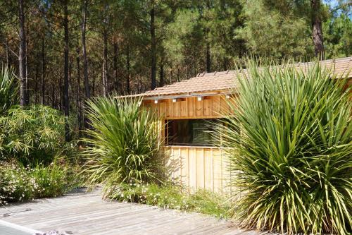 Vacances Océan Maison bois Lège Cap Ferret 1-4p